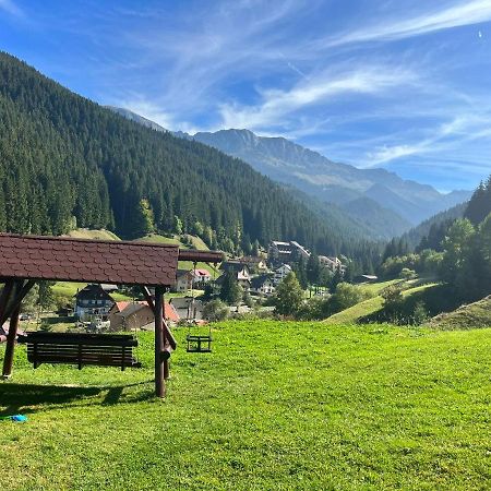 Matei Moieciu De Sus Hotel Moeciu De Sus Eksteriør billede