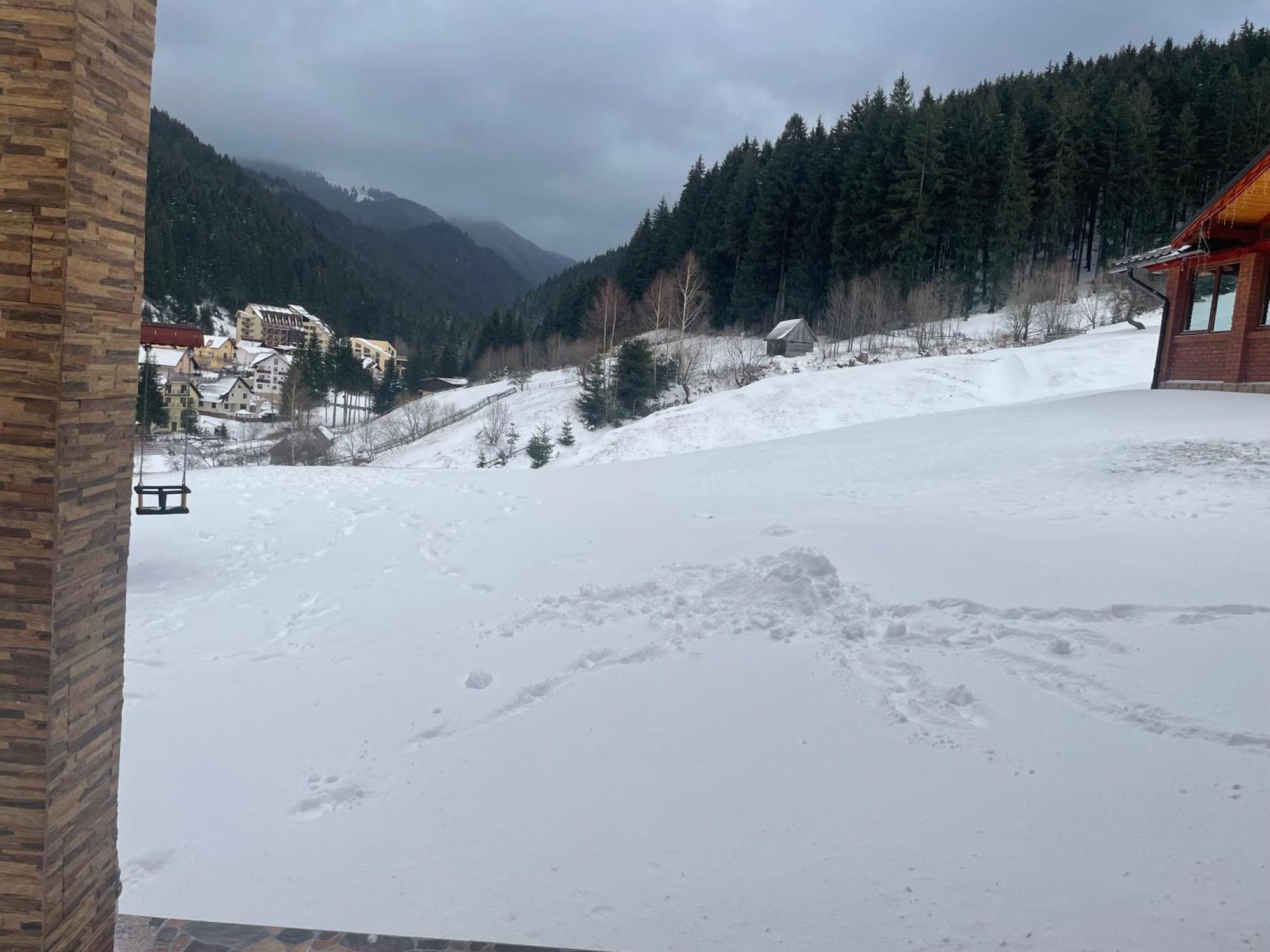 Matei Moieciu De Sus Hotel Moeciu De Sus Eksteriør billede